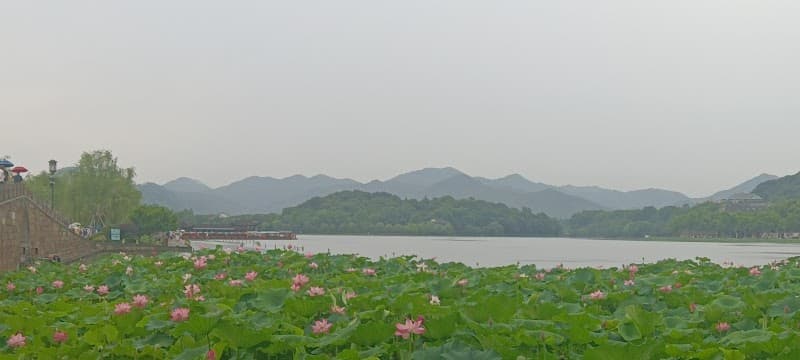 West Lake Wild: A Jungle-Feel Hangzhou Weekend