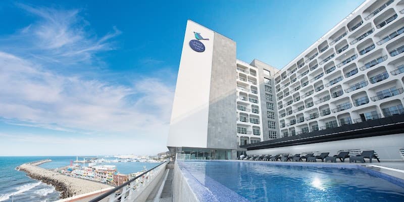 Whistle Lark Hotel Jeju
