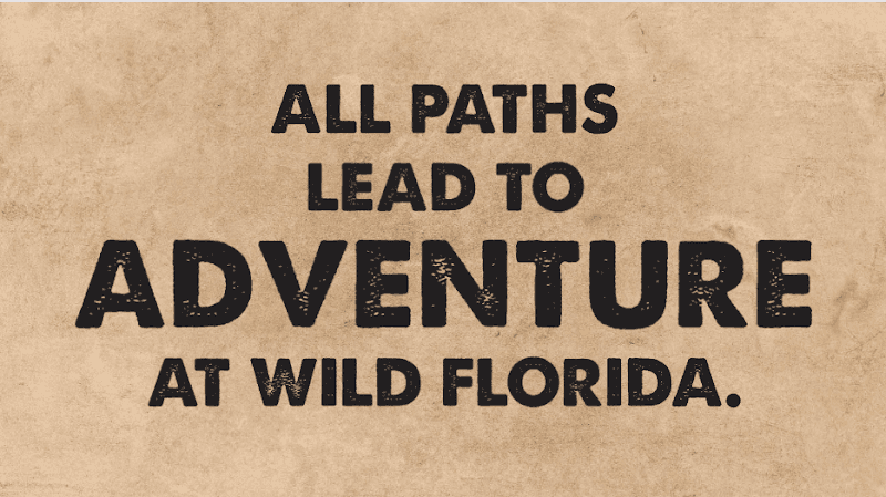 Wild Florida Drive-Thru Safari & Gator Park