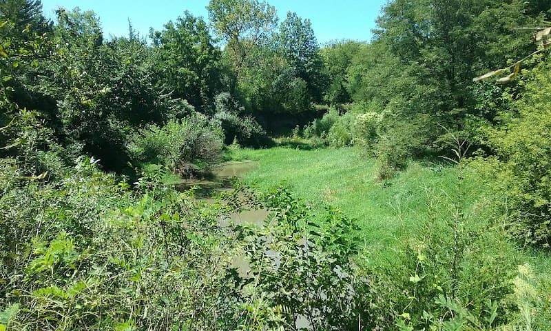 Wilderness Park (Central Access)