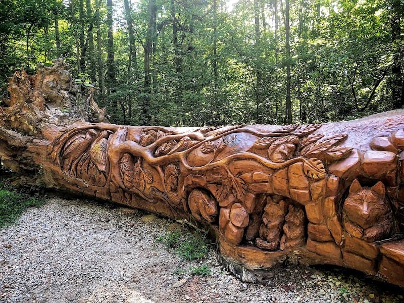 William B. Umstead State Park (Lake Area Hike)