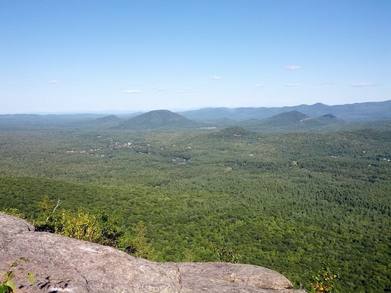 Wilmington Wild Forest Overlook