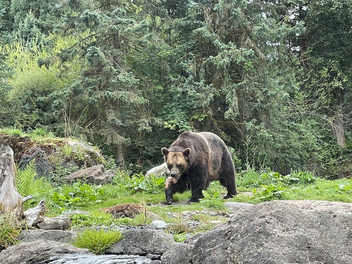 Woodland Park Zoo