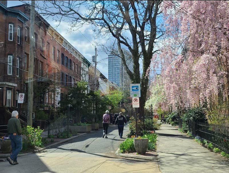 Wooster Square Cherry Trees