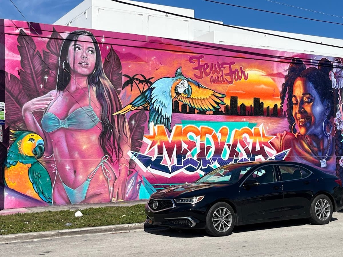 Wynwood Art Walking Tour