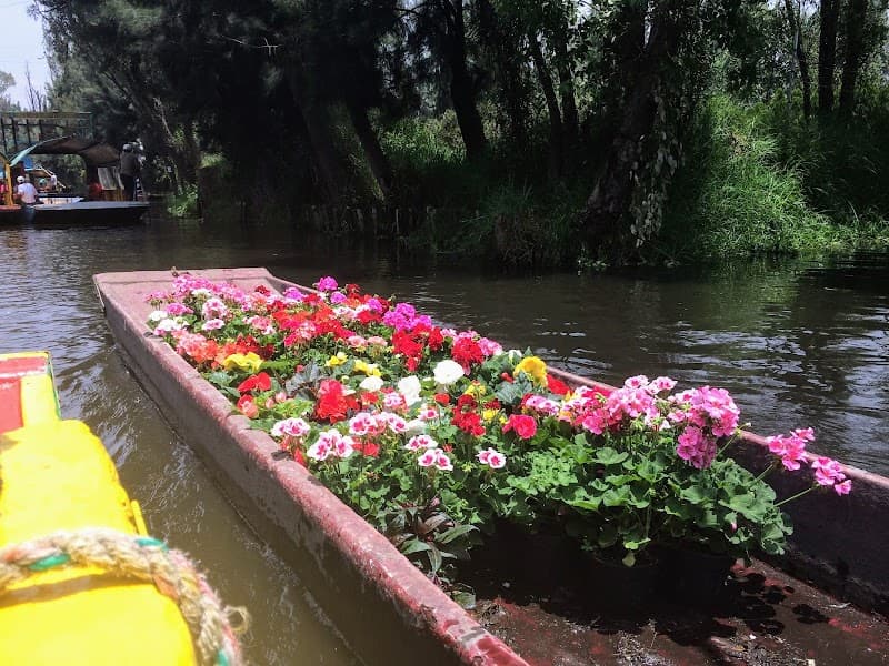 Xochimilco Canals Trajinera