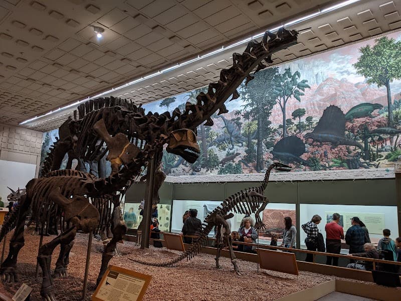 Yale Peabody Museum of Natural History