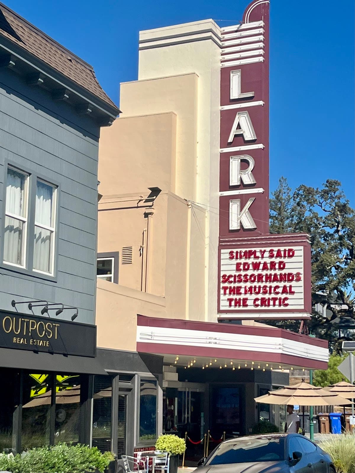 Yoga & Lark Theater Matinee