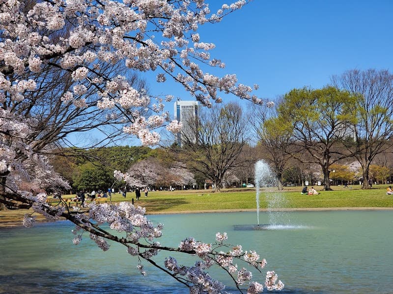 Yoyogi Park Free Explore